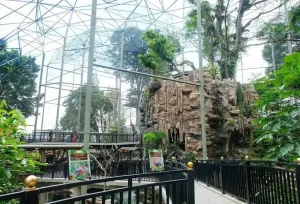 kebun binatang kinantan bukittinggi