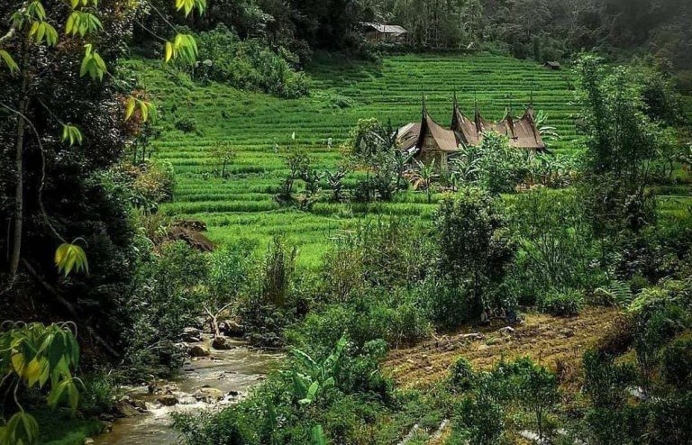 desa wisata pesona pagadih