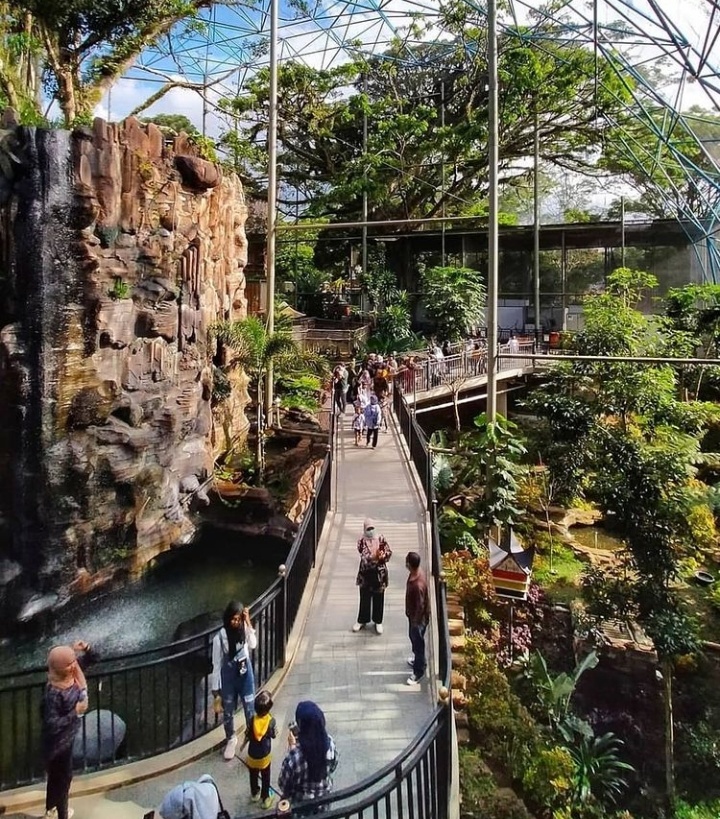 kebun binatan bukitinggi