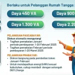 pln gratis