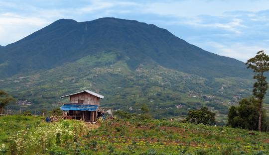 gunung singgalang