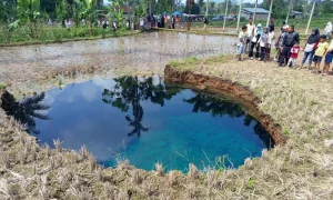 Fenomena Sinkhole 50 Kota